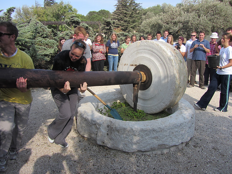 Huntsmans in the Holy Land Making Olive Oil at the Jerusalem Center