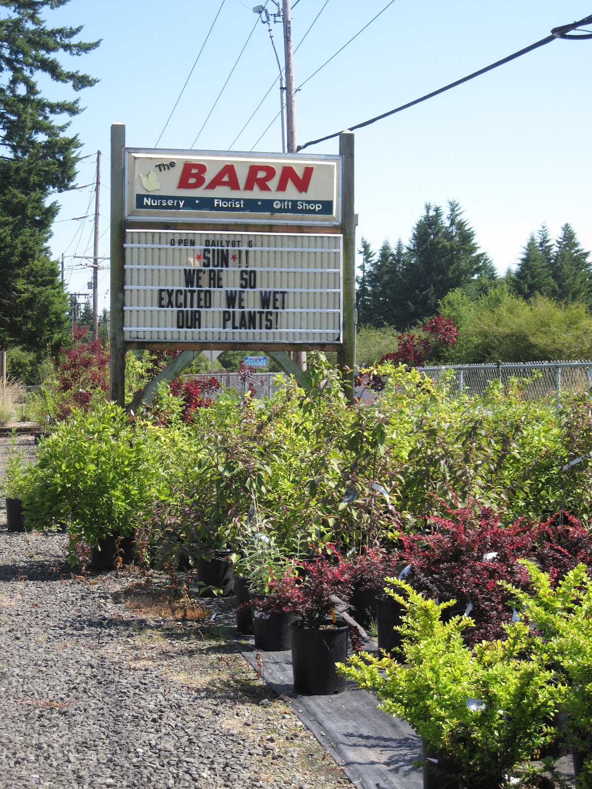 Bonney Lassie A Trip to The Barn Nursery in Olympia, WA
