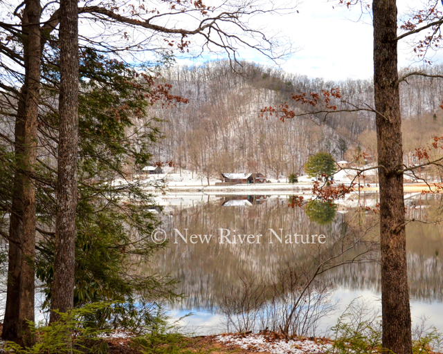 A Little Piece Of Me Hungry Mother State Park A View Through