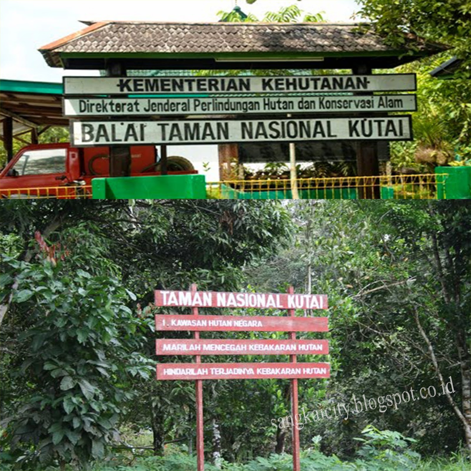 Taman Nasional Kutai (TNK) | Sangkay City