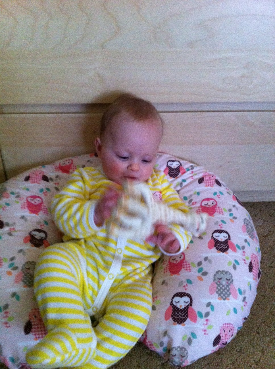 GreenSurfMomma Brest Friend Nursing Pillow VS Boppy... and other tips
