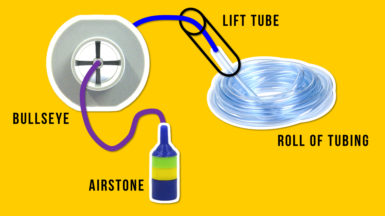 A GAMER'S WIFE How to Install a Sponge Filter + 3 Bonus Tips