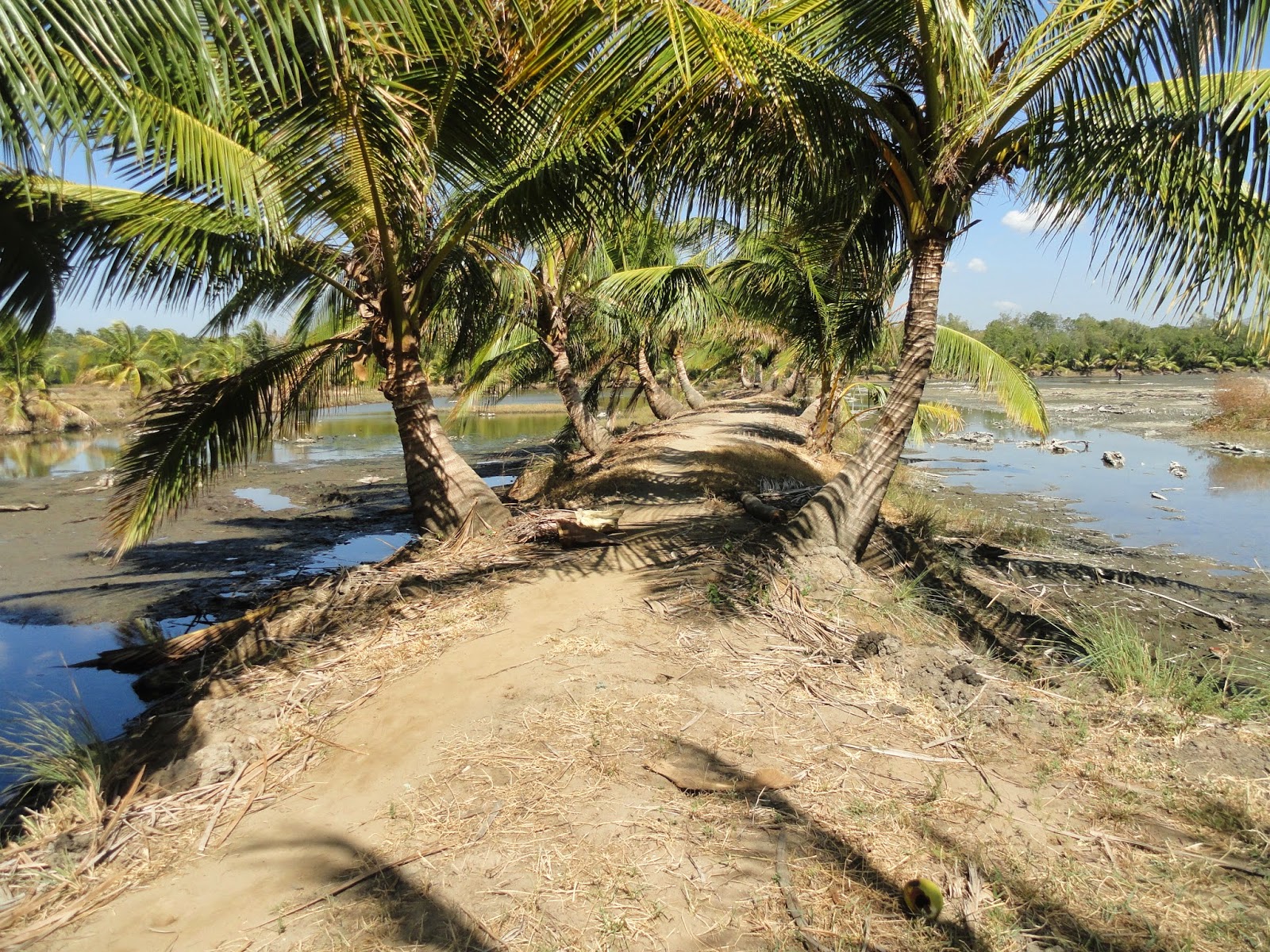 Zamboanga del Sur Properties FOR SALE 13 HECTARES FISHPOND AT TUKURAN