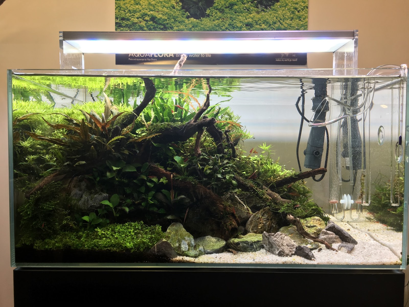 Aquascape Store Terjual Aquascape Jadi Design Aquascape Store Kaskus