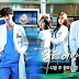 Download Drama Korea Doctor Stranger Subtitle Indonesia