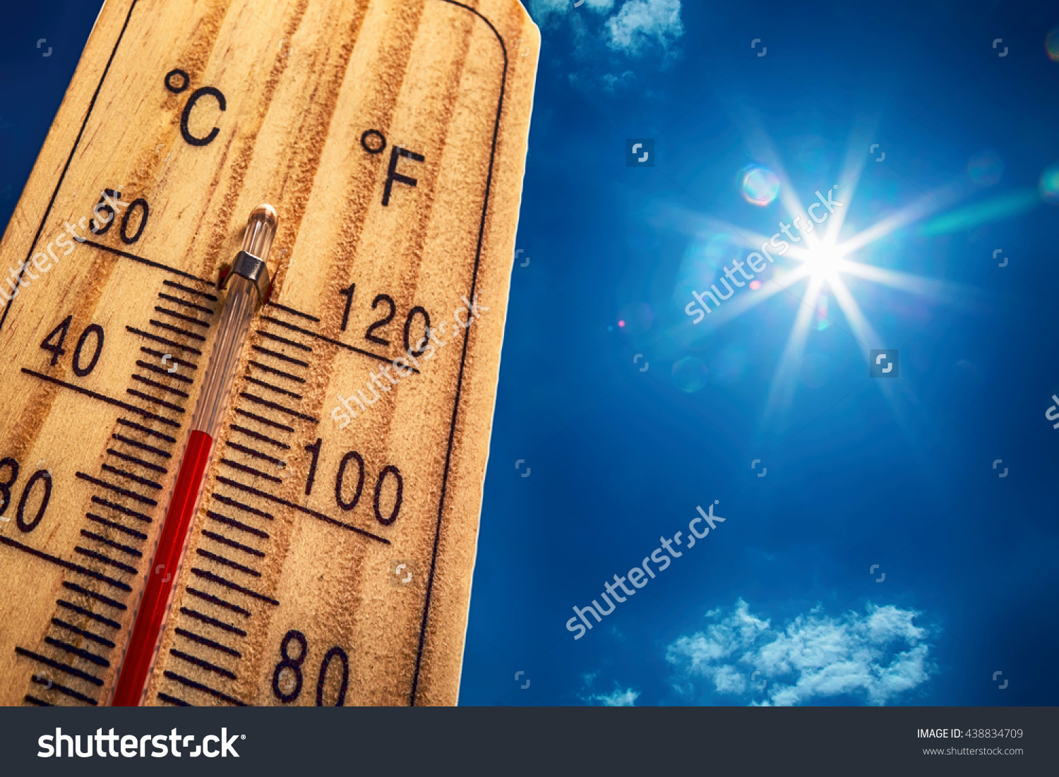 Blooming Lovely: Christmas in Summer