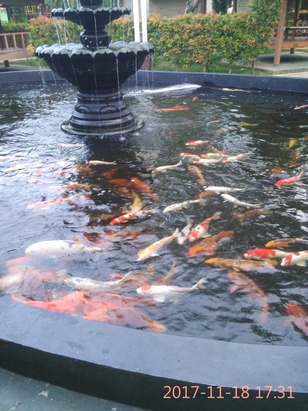 Menikmati Suasana Asri Di Pemancingan Saung Desa Pebayuran Bekasi Aliems Journey