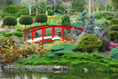 Jardín japonés - Japanese garden - Plantas y Flores