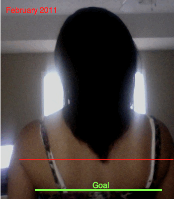 feb+length+check.gif