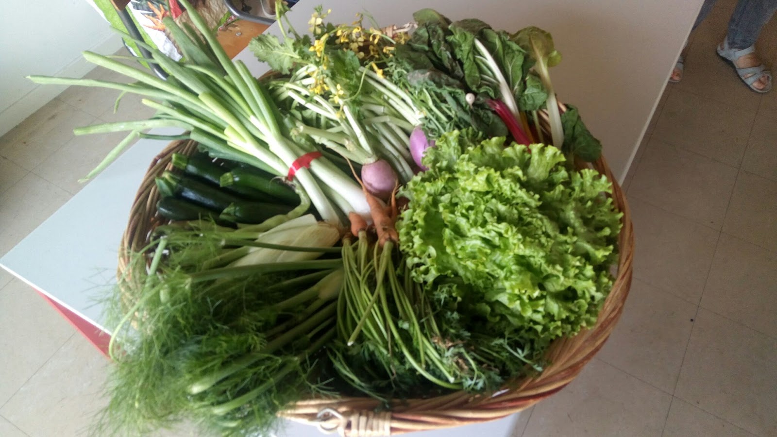 Amap de l'Etang 2017