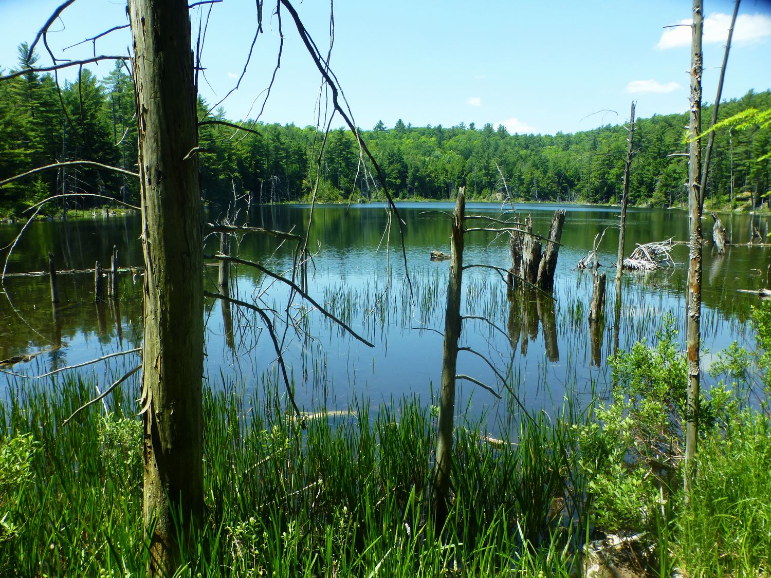 The Saratoga Skier and Hiker Pole Hill Pond Preserve 07/04/2016