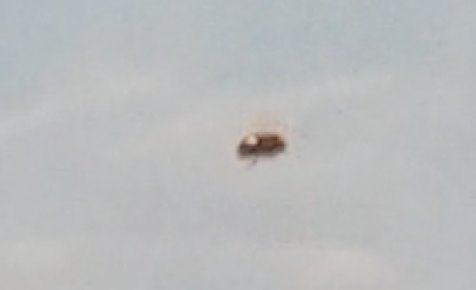 Aprendamos a identificar un #ovni y evitar las malas interpretaciones. Después de esto estarás mas informado y listo para salir a cazar #ovnis UFO%252C%2BUFOs%252C%2Bsighting%252C%2Bsightings%252C%2Bspace%252C%2Bpentagon%252C%2Bagent%252C%2Bparanormal%252C%2BMercury%252C%2Bplanet%252C%2BAI%252C%2Bcrater%252C%2Bmoon%252C%2Blunar%252C%2Bcool%252C%2Bwth%252C%2Bsurface%252C%2Bapollo%252C%2Bmap%252C%2Btop%2Bsecret%252C%2Bamerican%252C%2BUSA%252C%2Bmilitary%252C%2Bhack%252C%2Bhackers%252C%2Bnews%252C%2Bmedia%252C%2Bcnn%252C%2Bbase%252C%2Bbuilding%252C%2Bstructures%252C%2Ba111 UFO%252C%2BUFOs%252C%2Bsighting%252C%2Bsightings%252C%2Bspace%252C%2Bpentagon%252C%2Bagent%252C%2Bparanormal%252C%2BMercury%252C%2Bplanet%252C%2BAI%252C%2Bcrater%252C%2Bmoon%252C%2Blunar%252C%2Bcool%252C%2Bwth%252C%2Bsurface%252C%2Bapollo%252C%2Bmap%252C%2Btop%2Bsecret%252C%2Bamerican%252C%2BUSA%252C%2Bmilitary%252C%2Bhack%252C%2Bhackers%252C%2Bnews%252C%2Bmedia%252C%2Bcnn%252C%2Bbase%252C%2Bbuilding%252C%2Bstructures%252C%2Ba111 Aprendamos a identificar un #ovni y evitar las malas interpretaciones. Después de esto estarás mas informado y listo para salir a cazar #ovnis