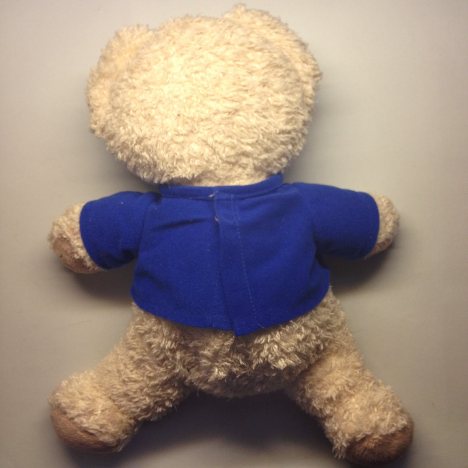 Dora L Exploratrice C Est La Fête 2005 Aubaines En Ligne: Ourson En Peluche Snuggle De 35 cm