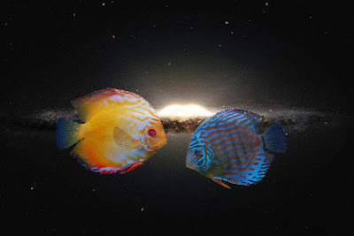 лагна в рыбах джйотиш. Смотреть фото лагна в рыбах джйотиш. Смотреть картинку лагна в рыбах джйотиш. Картинка про лагна в рыбах джйотиш. Фото лагна в рыбах джйотиш лагна в рыбах джйотиш. Смотреть фото лагна в рыбах джйотиш. Смотреть картинку лагна в рыбах джйотиш. Картинка про лагна в рыбах джйотиш. Фото лагна в рыбах джйотиш