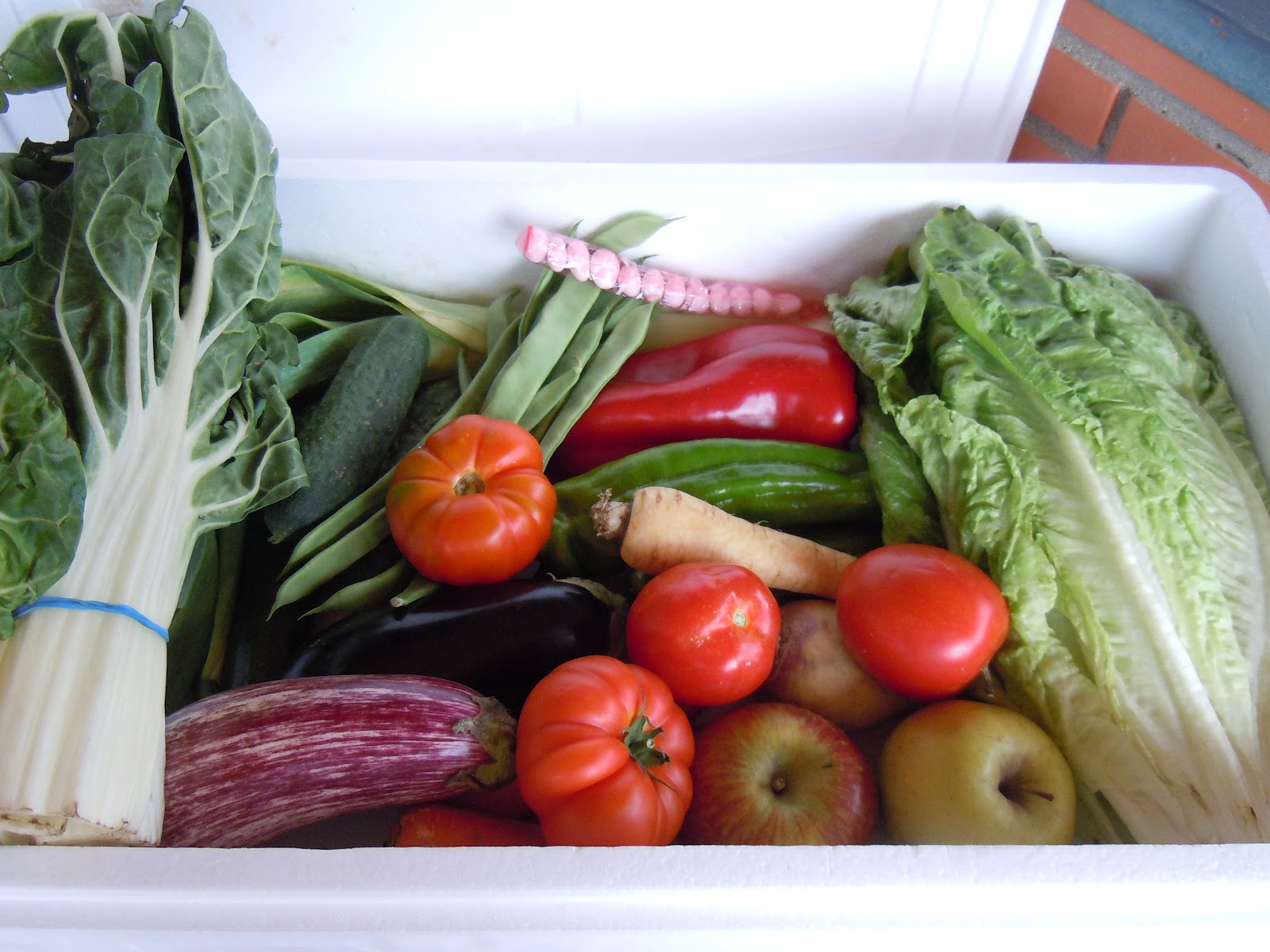 EL BLOG DE DEBORA,COLABORA CON TU FRUTERÍA.ES