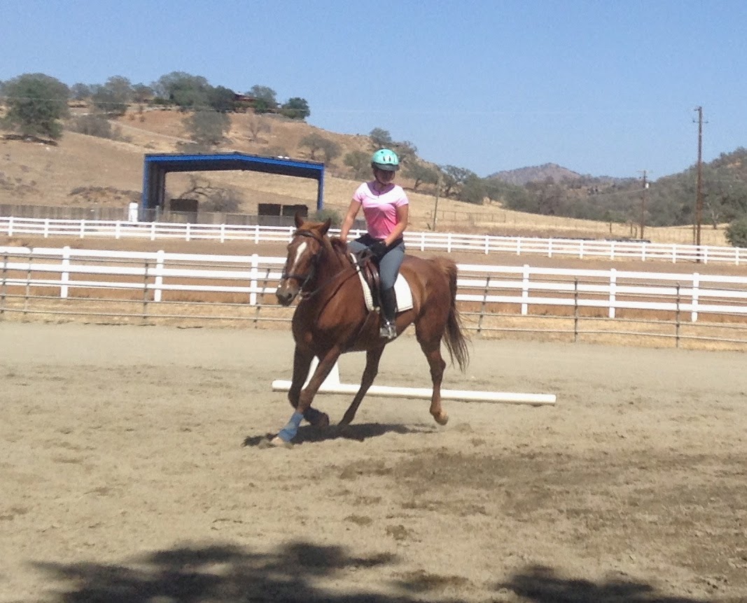 The Aspiring Equestrian Improving at Riding the Canter