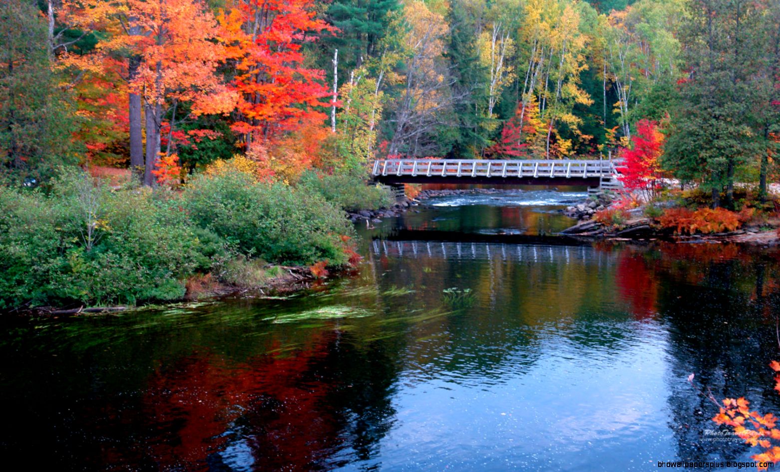 Free Fall Desktop Wallpaper Large