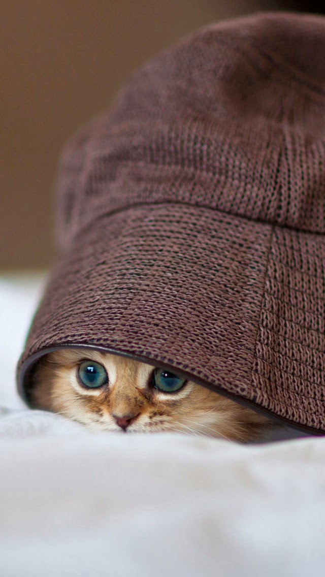 New Cute And Romantic iPhone Wallpapers To Download