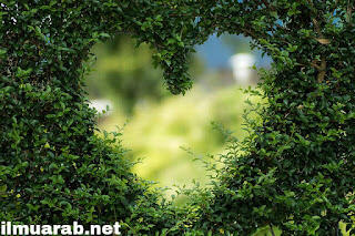 1001 Kosakata Bahasa Arab Sehari Hari dan Artinya Paling ...