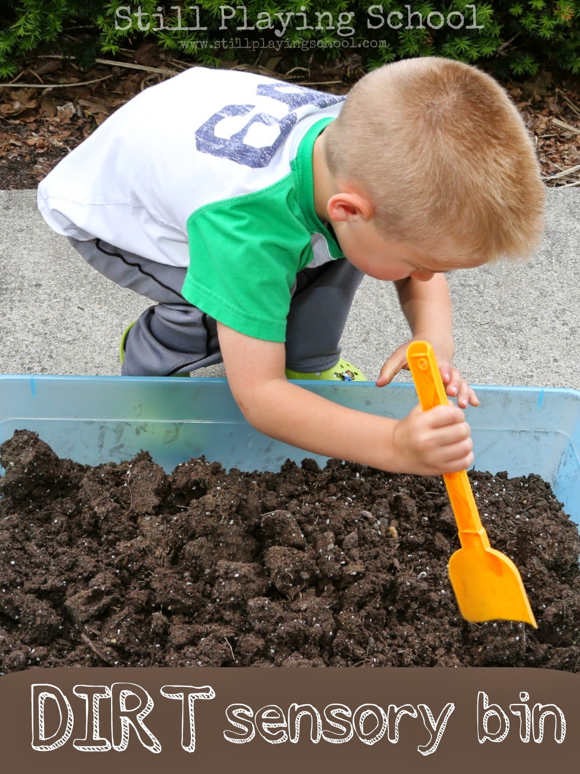 Dirt Sensory Bin Still Playing School