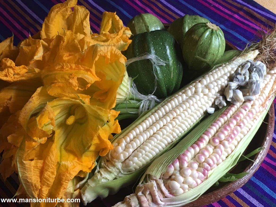 Arriba 96+ imagen recetas de cocina prehispanica que utilice maiz