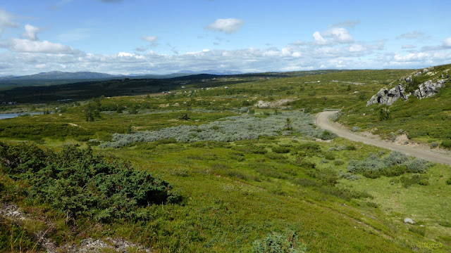 Groene heuvels in Noorwegen
