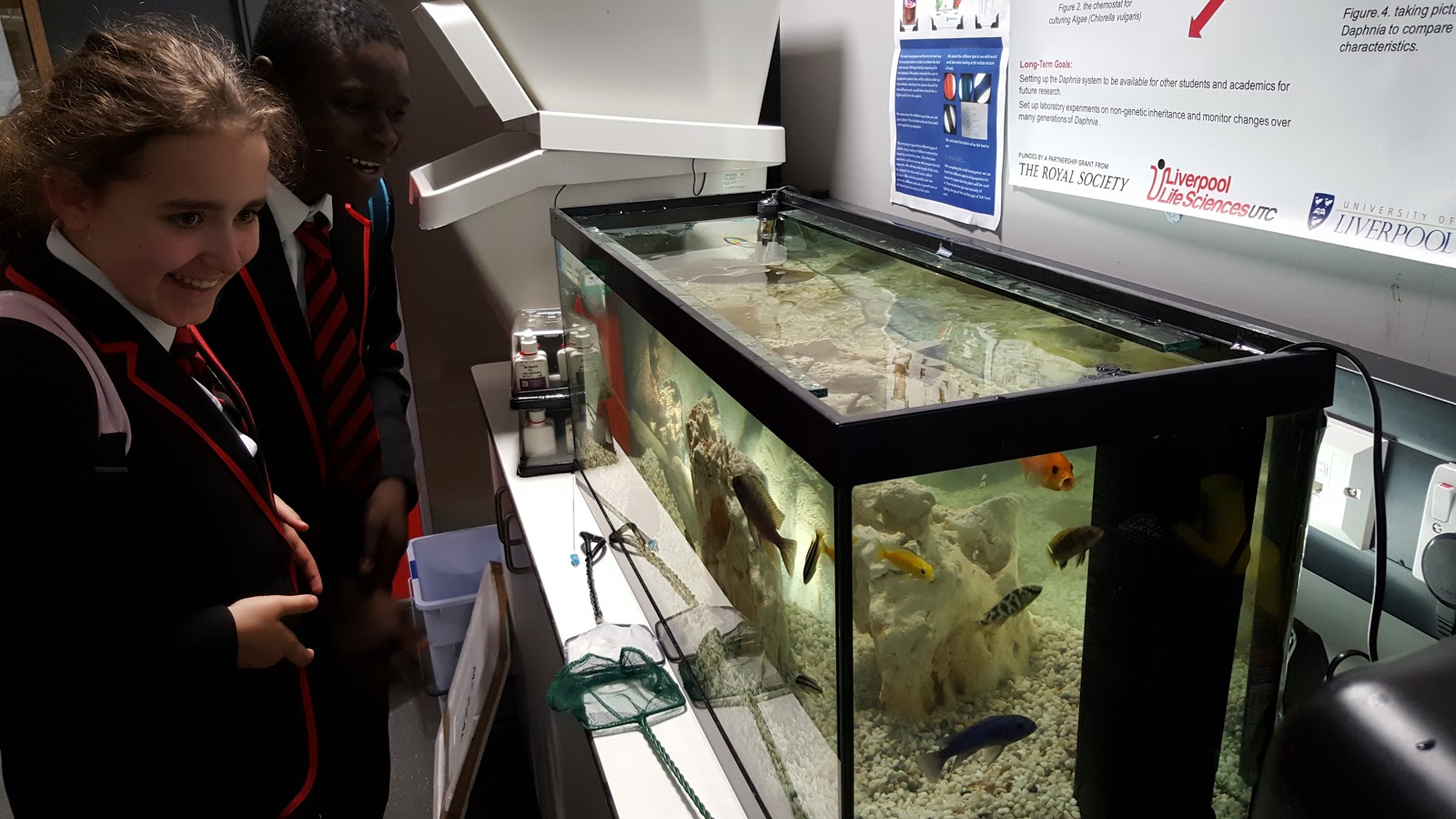 Liverpool Life Sciences UTC Innovation Labs Introducing our newest