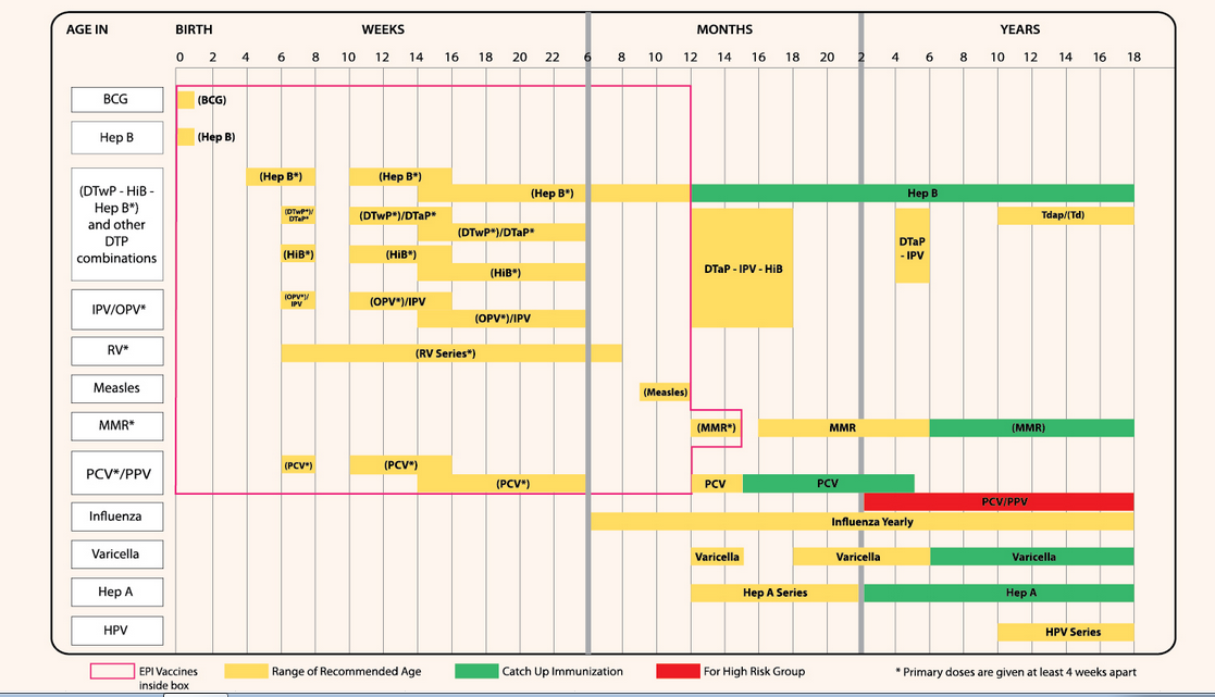 Vaccine Chart For Babies In Philippines