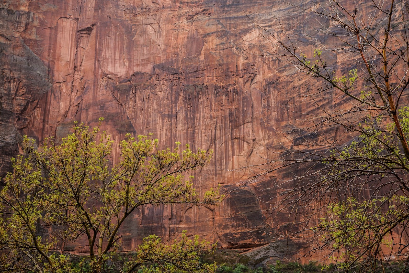 Walking Arizona Desert Varnish
