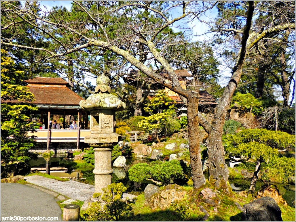 Japanese Tea Garden: San Francisco Japanese Tea Garden: San Francisco
