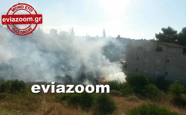Εύβοια: Δείτε φωτογραφίες και βίντεο από την χθεσινή φωτιά στην Αυλίδα