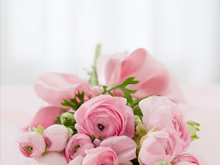 Sweet Images for WhatsApp Profile Sweet Images for WhatsApp Profile