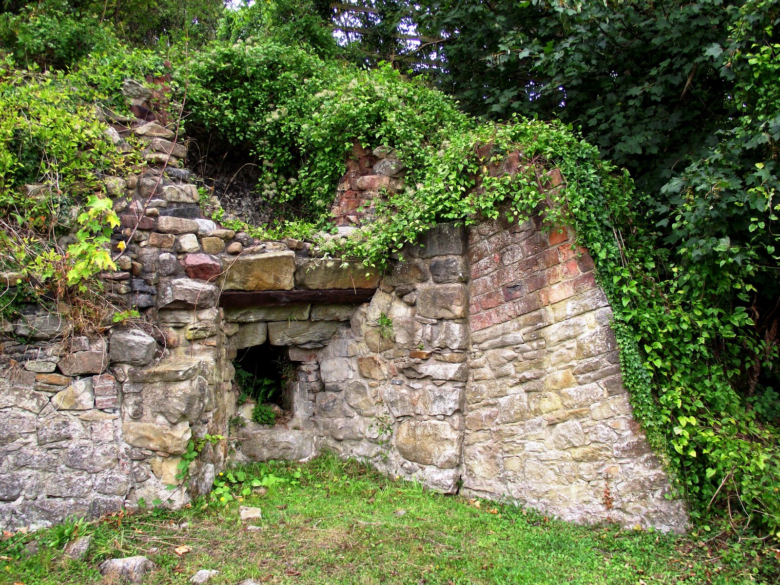 YoungManGoneWest Clywedog Trail, Wrexham