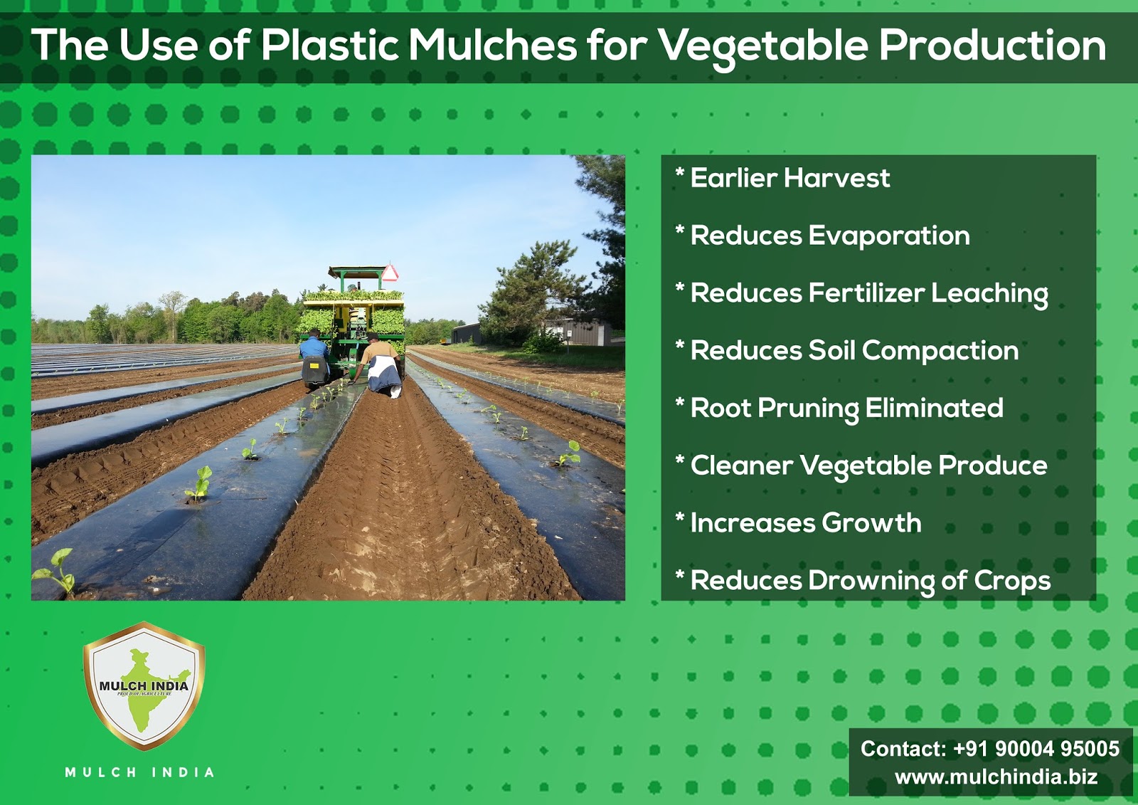 MulchIndia The uses of plastic mulch for vegetable production Mulch