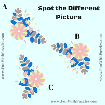 Find the Odd One Out Picture Puzzle