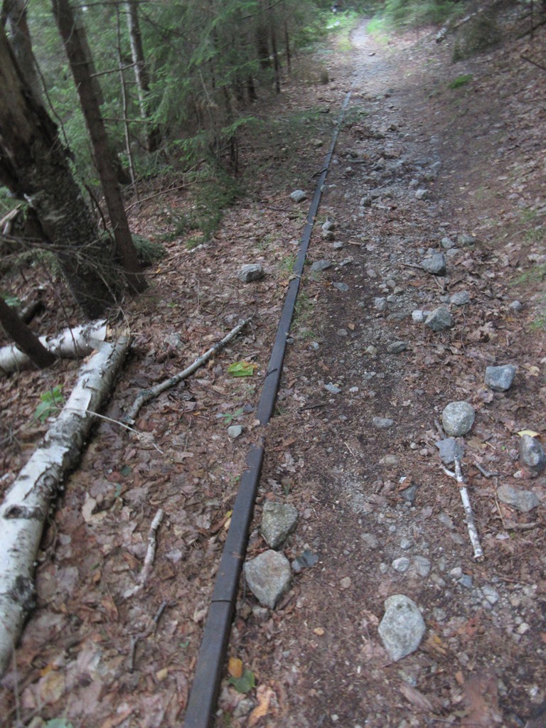 Mountain Wandering FLAT MOUNTAIN POND RAMBLE 7/26/17