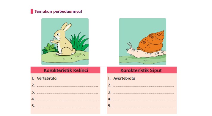 Ruang Pendidikan Dasar Tema 1 Organ Gerak Hewan  Dan  Manusia