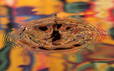 Water Drop Macro Widescreen Wallpaper