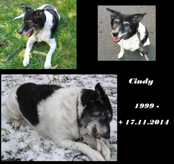 Cindy