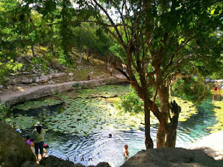 Cenotes de Merida