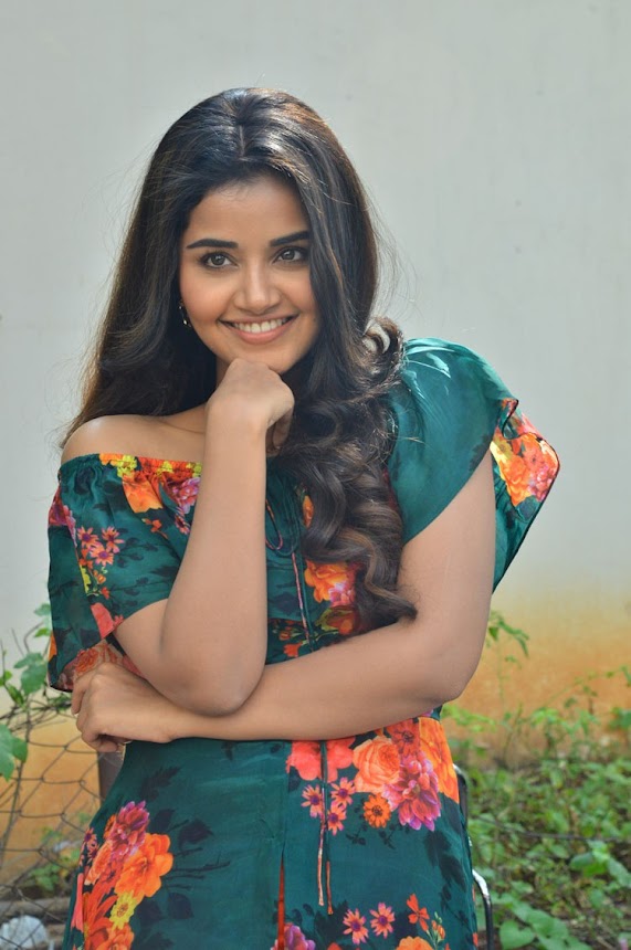 Anupama Parameswaran at Hello Guru Prema Kosame Promotions