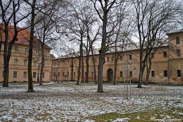 Terezin Terezin