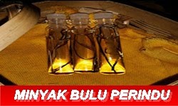 MINYAK BULU PERINDU