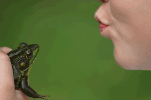 But what if you really just want a frog?