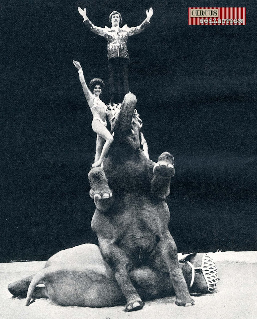 Germaine Knie et Louis Knie senior debout sur un éléphant assis sur un autre