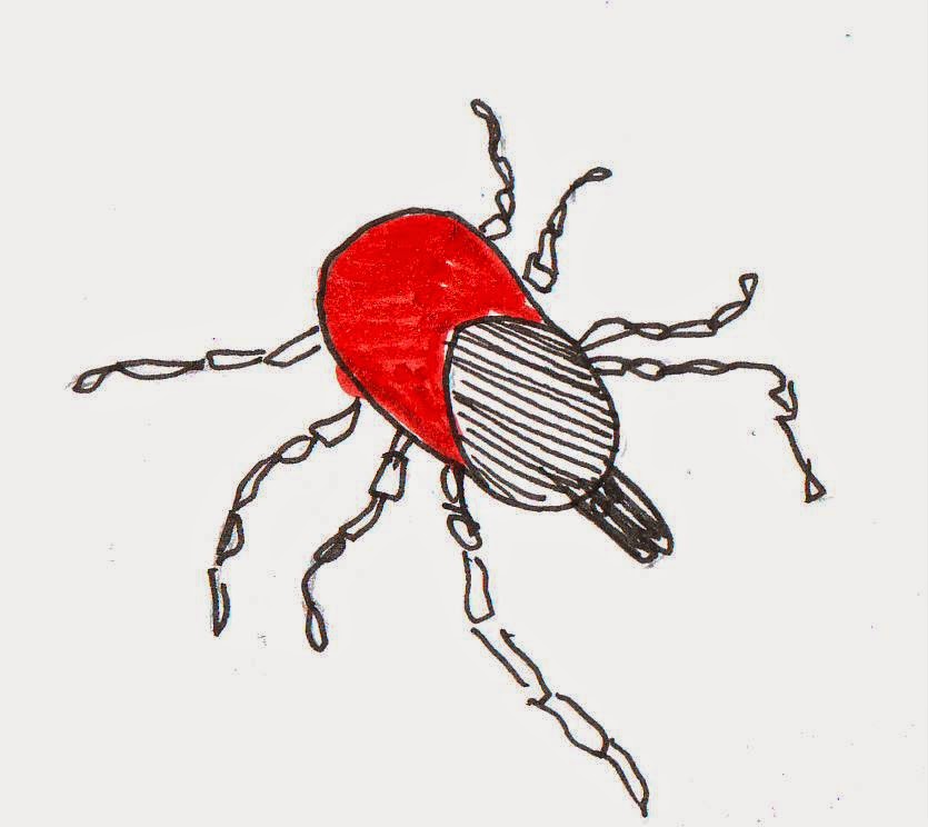 Клещ рисунок простой