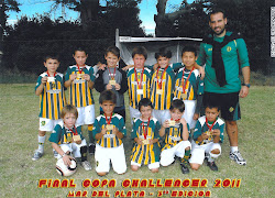 Categoria 2004-Club Atletico Aldosivi 2011