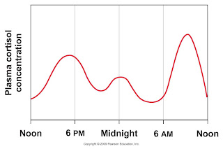 My Biomedical Notebook: Endocrinology/Hormones