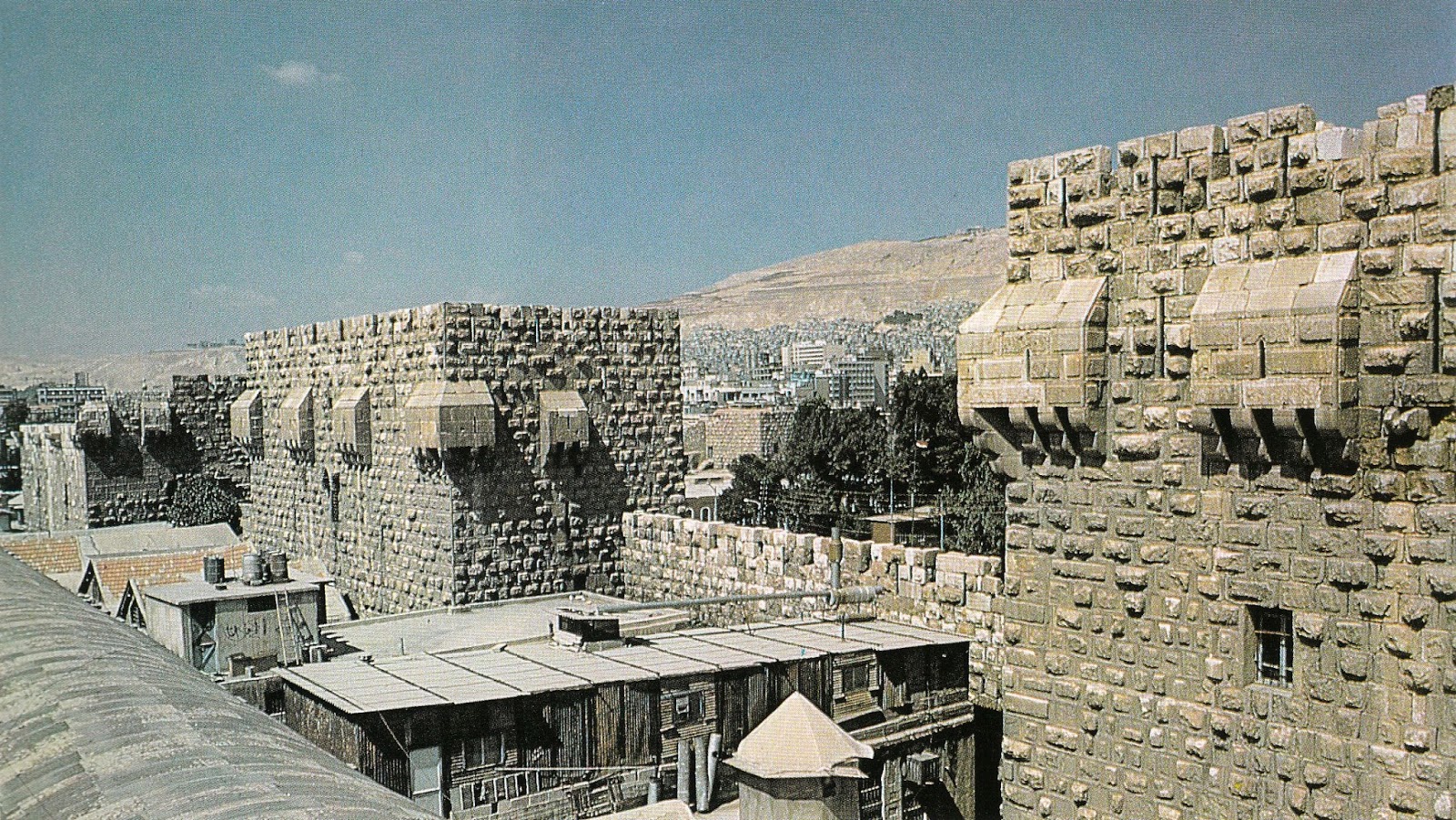 syrie%2B31.jpg