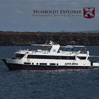 Humboldt Explorer